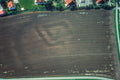 Neue Entdeckung 1998