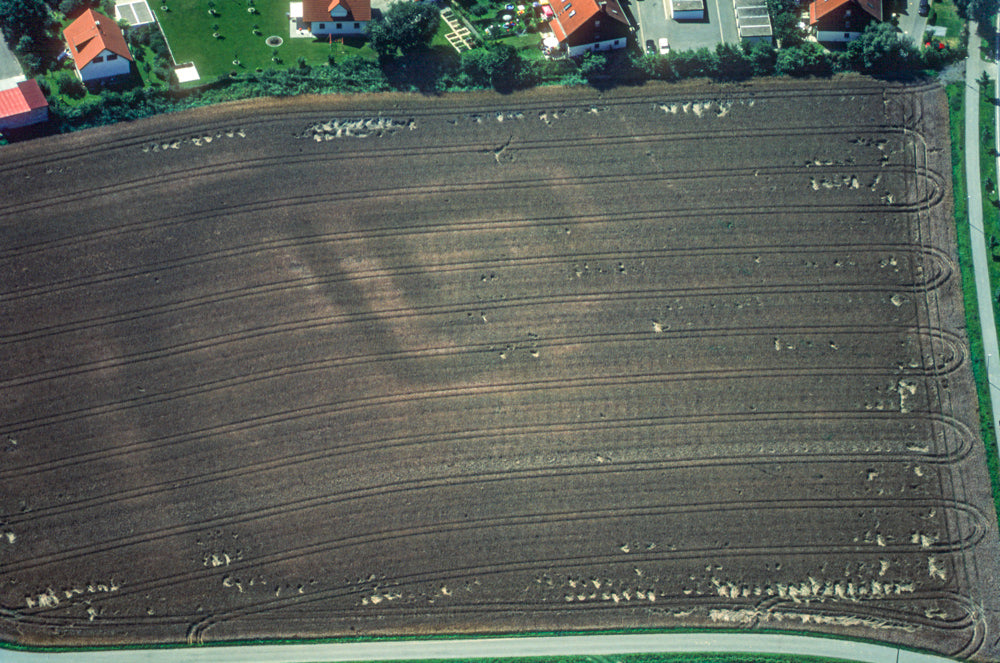 Neue Entdeckung 1998