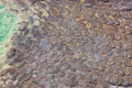 Kiesgrube