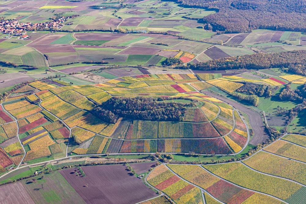 Weinbaugebiet Tannenberg