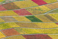 Weinbergpatchwork