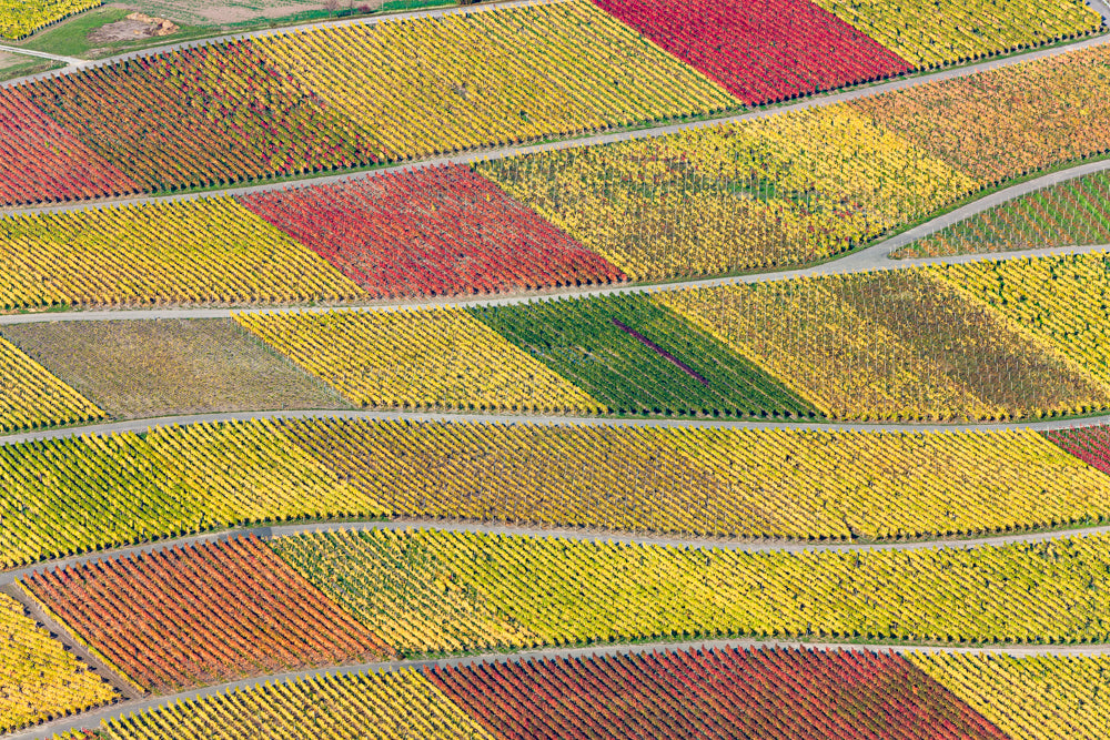 Weinbergpatchwork