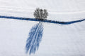 Dreifachbaum