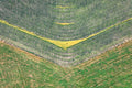 Agrografik Gelb