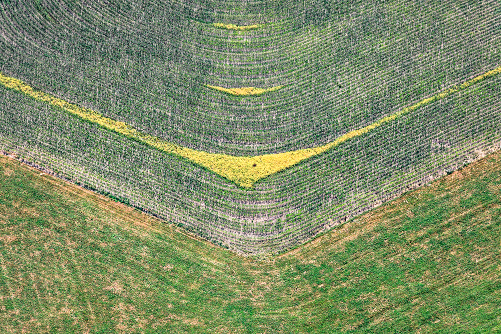 Agrografik Gelb