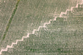 Agrografik Zickzack