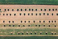 Viele Heuhaufen