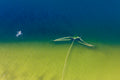 Fischnetz im Ammersee