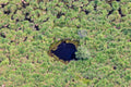 Moorlandschaft