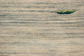 Insel im Feld