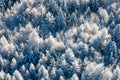 Fichtelgebirge im Winter