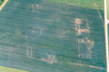 Negative Bewuchsmerkmale einer Villa rustica