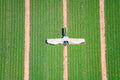 Gurkenfeld mit Erntemaschine