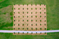 Quadrat mit 64 Bäumen