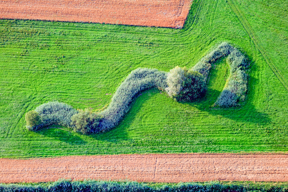 Landart by Nature