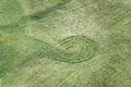 Grafische Spuren beim Heuwenden