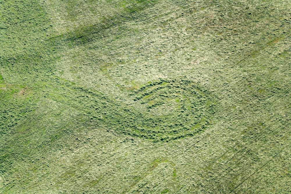 Grafische Spuren beim Heuwenden