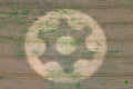 Kornkreis bei Hanfeld