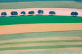 Baumreihe im Ackerland