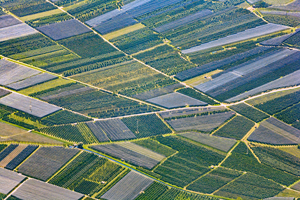 Landwirtschaft in Südtirol