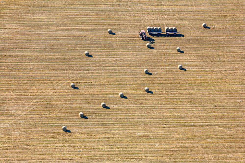 Erntearbeit