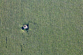 Feldkapelle mitten im Maisfeld