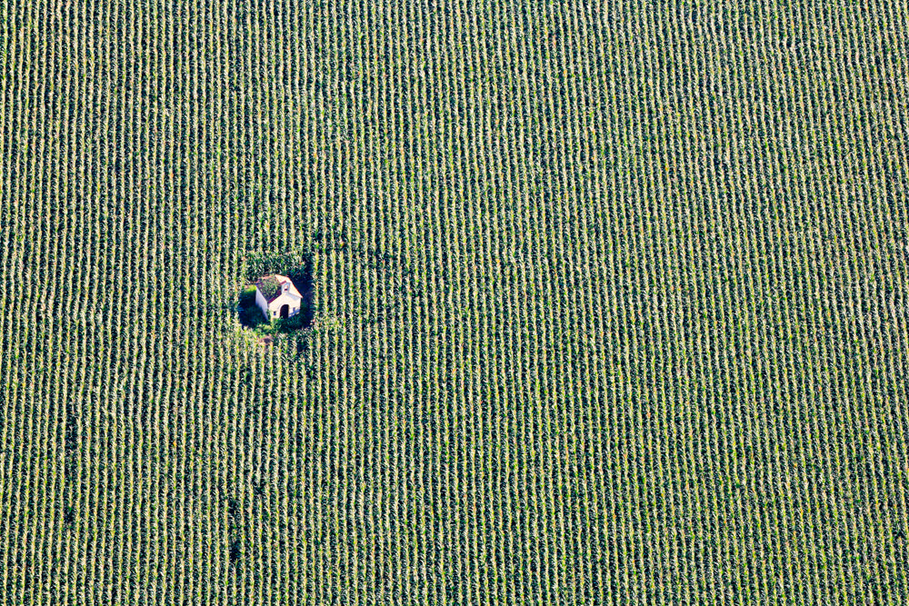 Feldkapelle mitten im Maisfeld