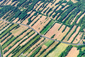 Heckenlandschaft
