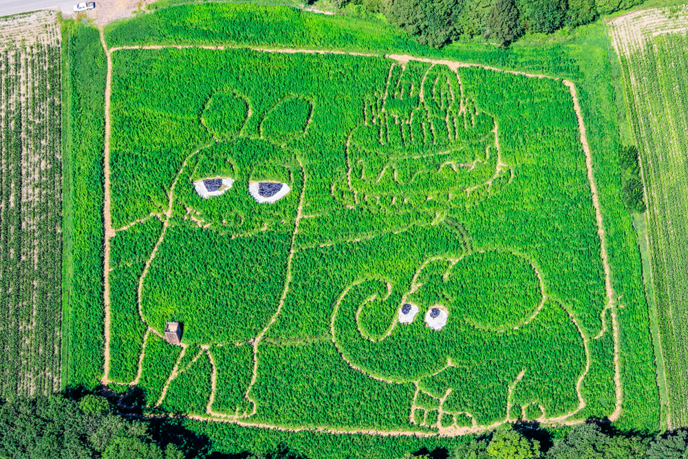 Labyrinth 2011 Maus und Elefant