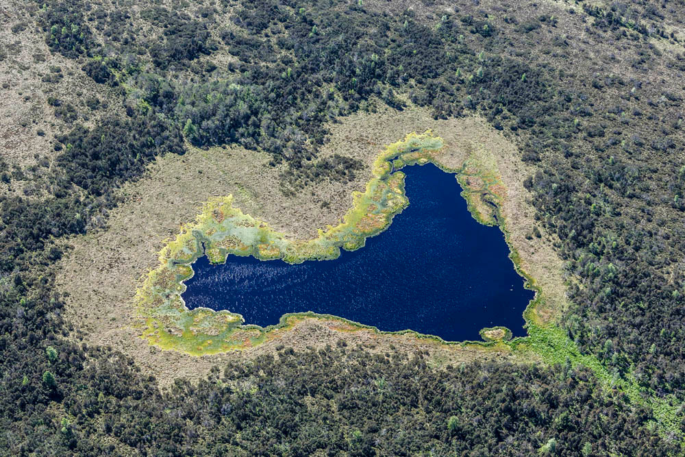 Fichtsee Nature Reserve in Sindelbachfilz