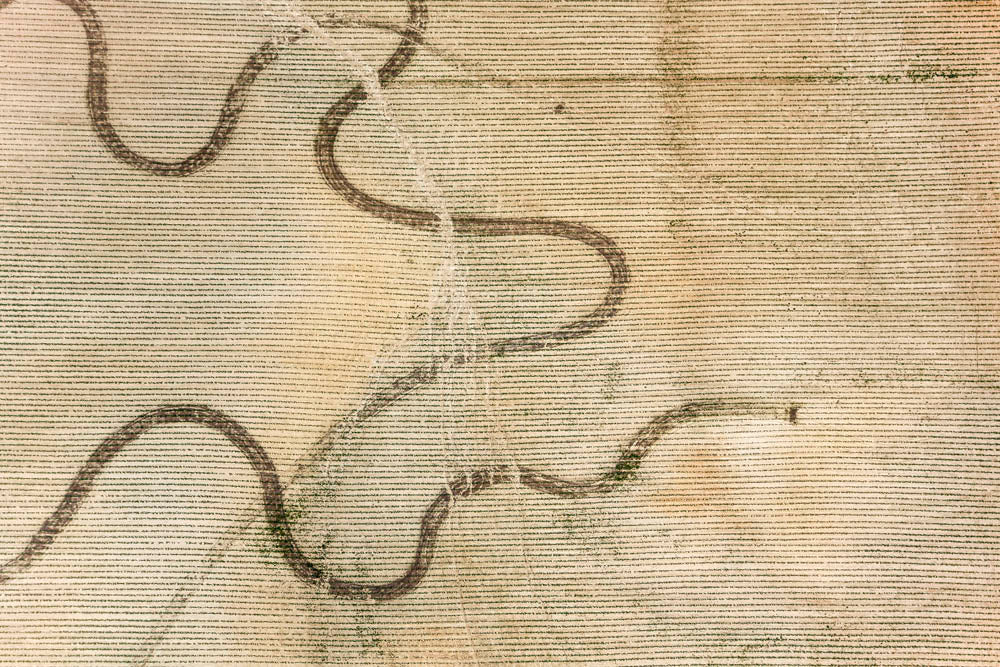 Traces of erosion and the farmer in a corn field