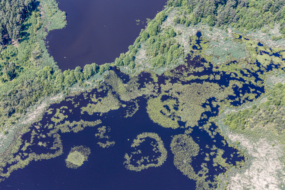 Dachsweiher und Thundorfer Weiher