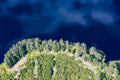 Uferlandschaft