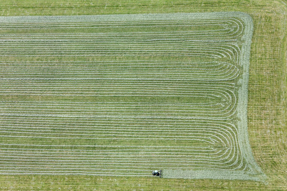 Traktor beim Heuwenden