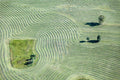 Hay tedder tracks near Uffing