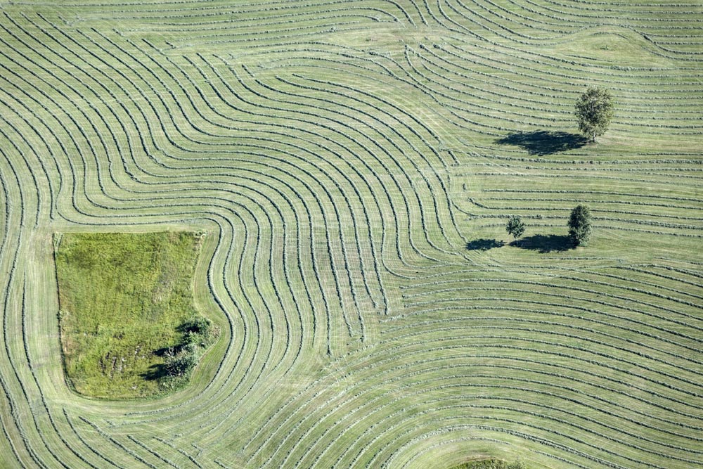 Hay tedder tracks near Uffing