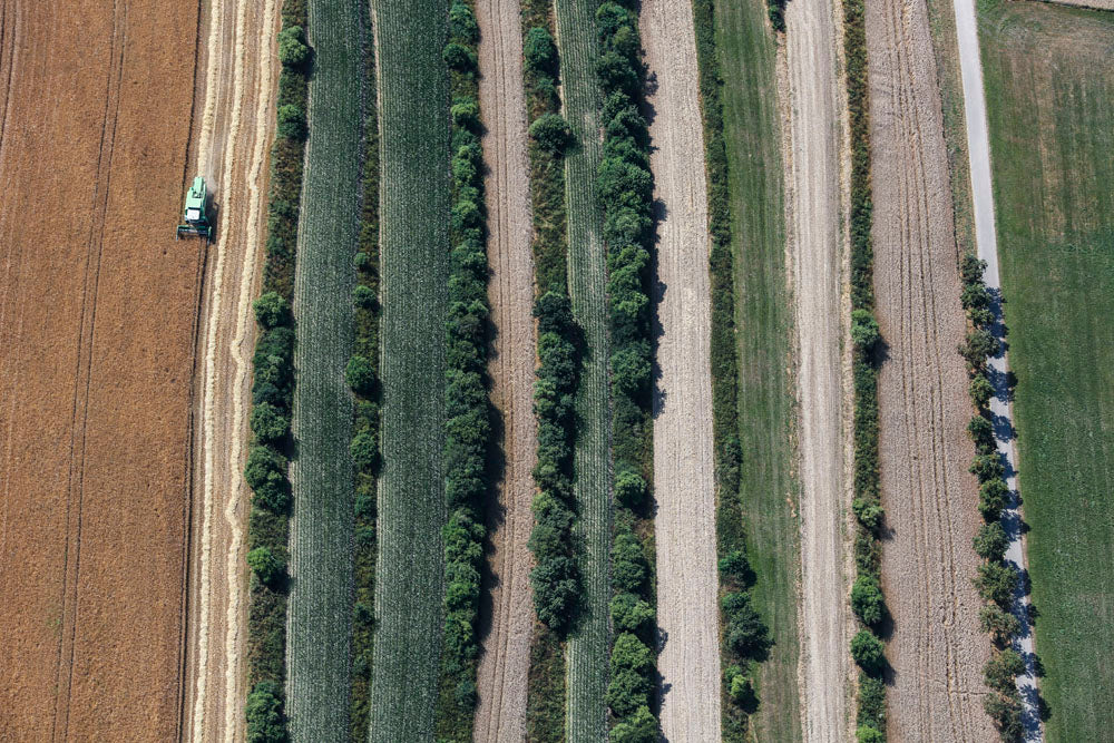 Agricultural Terraces near Marktoffingen