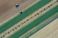 Feldarbeit des Landwirtes
