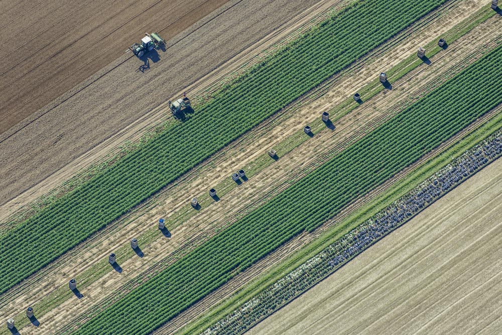 Feldarbeit des Landwirtes
