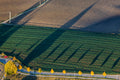 Schattenwerfende Herbstbäume