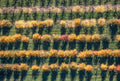 Obstbaumplantage Deutenkofen im Herbst