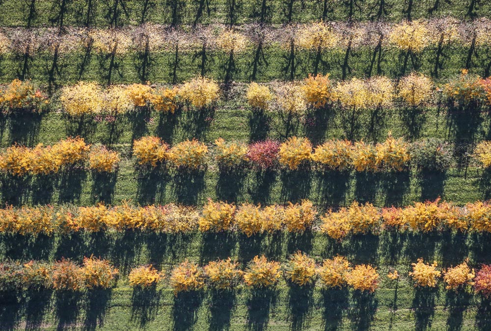 Deutenkofen Orchard in Autumn