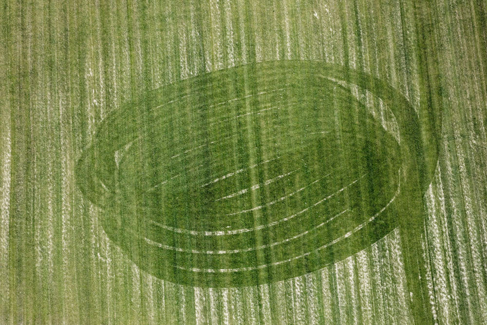 Circular agricultural tracks in the field