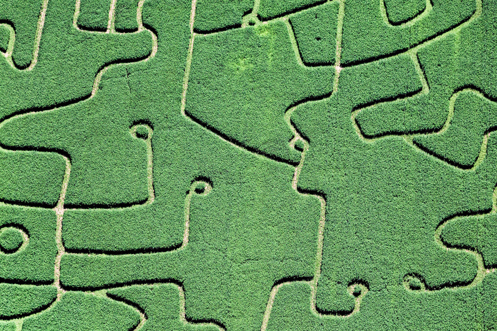 Labyrinth