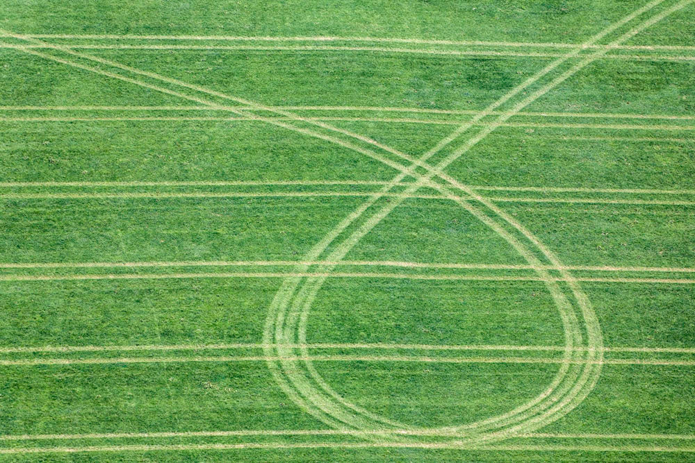 Traces of a loop on the field