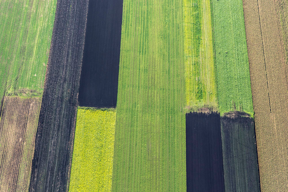 Agricultural strips in Donaumoos
