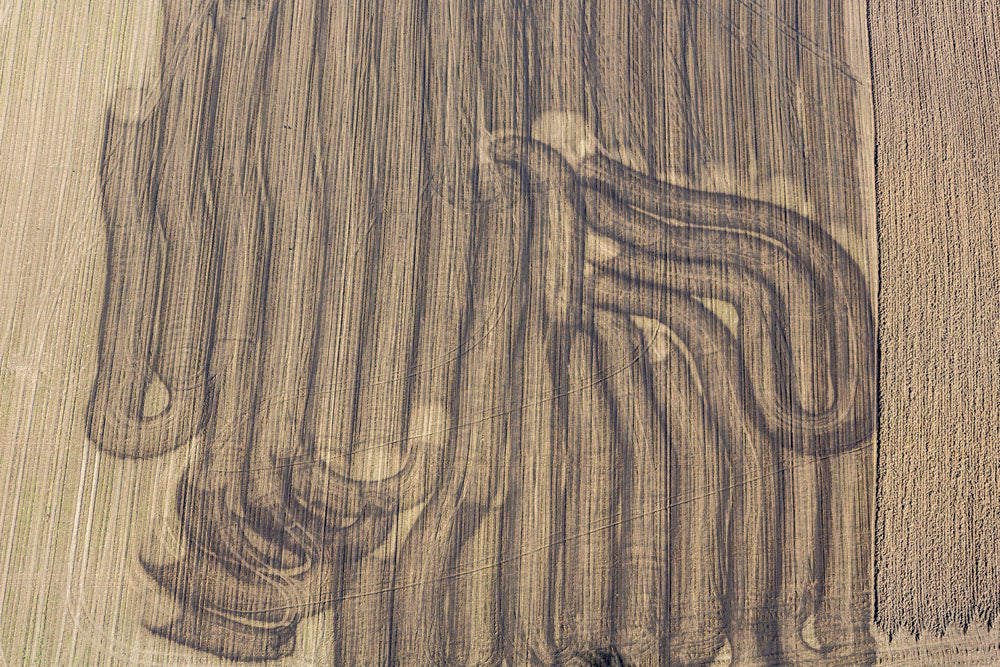 Oil traces on the field
