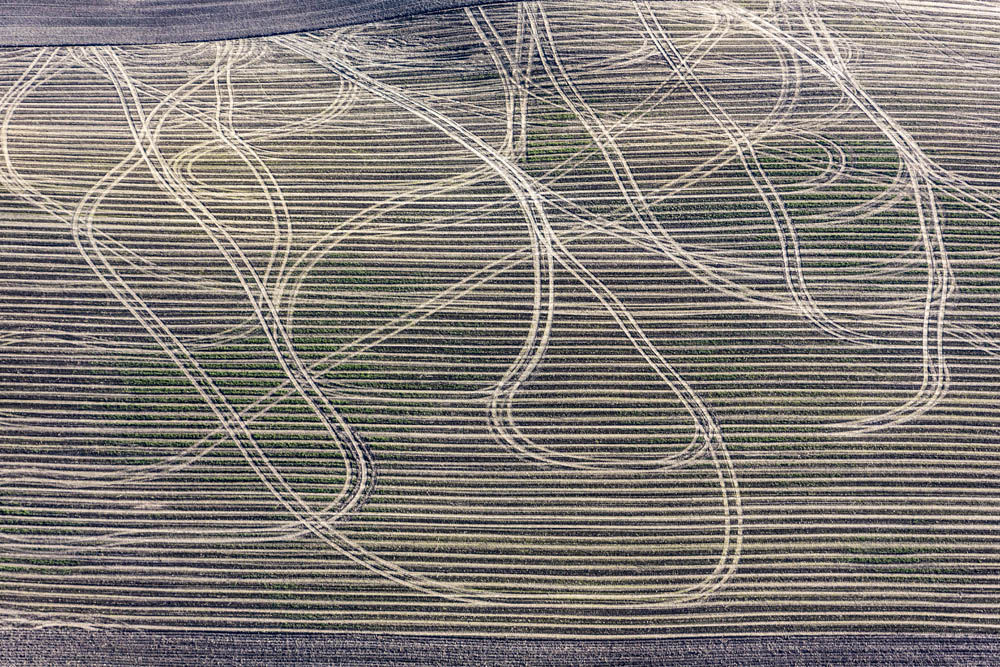 Wild traces of the farmer on the field
