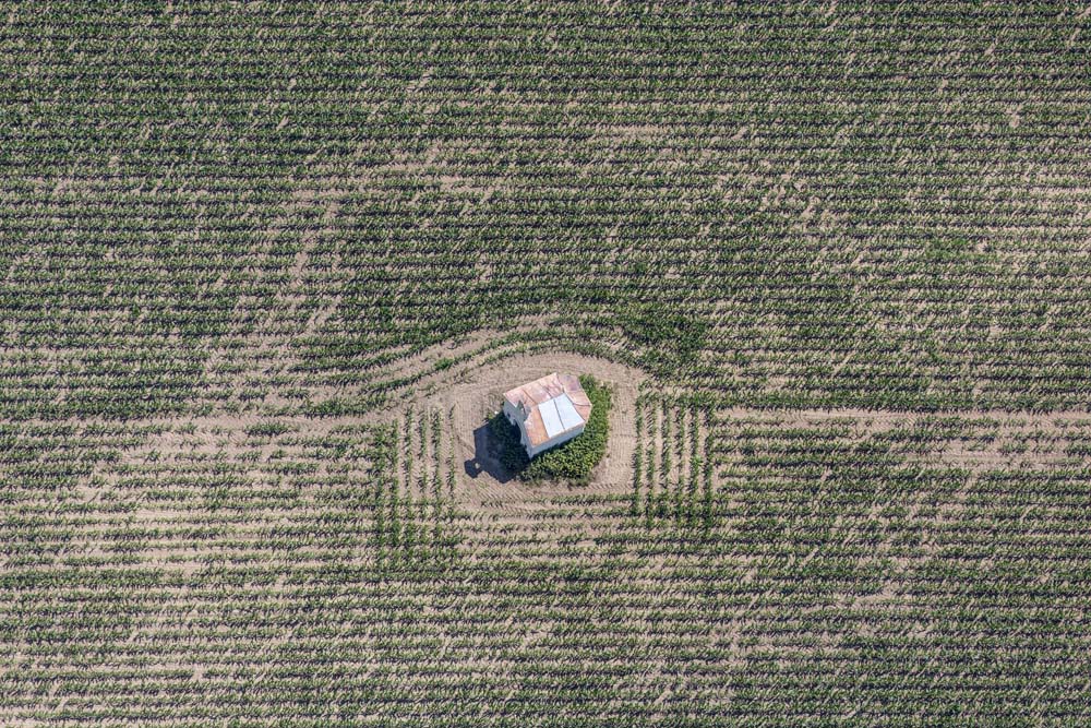 Field chapel in the cornfield