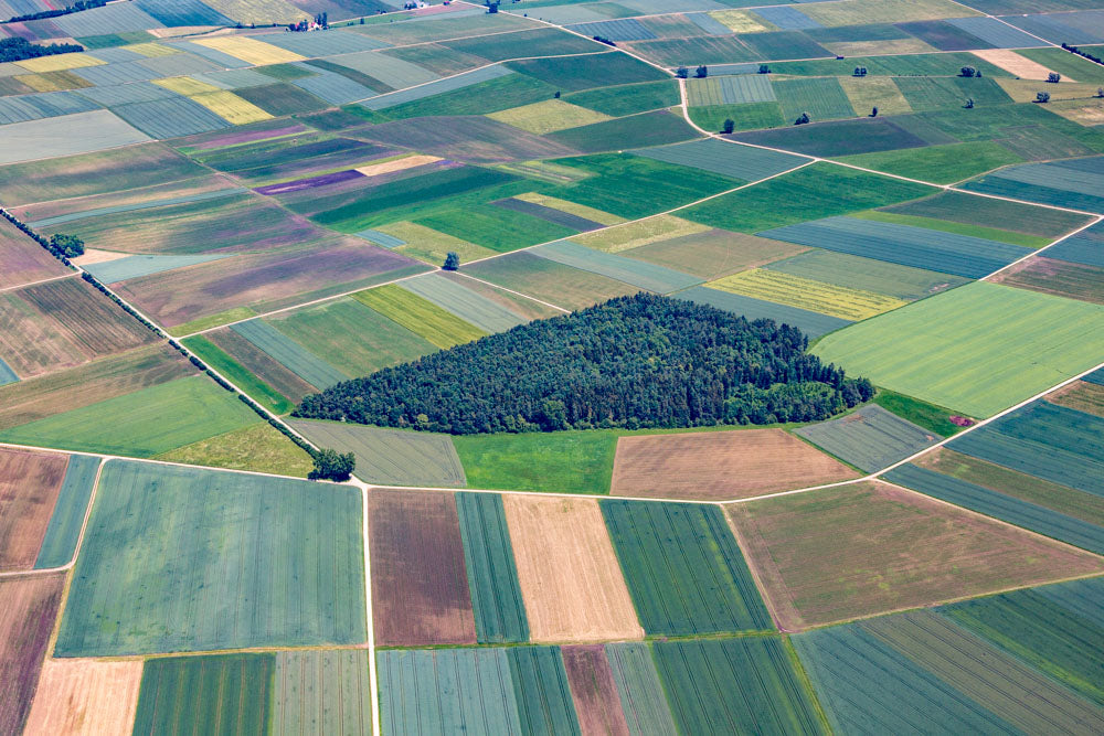Restwald